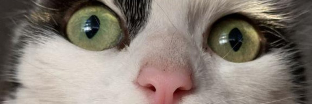 Viky_Caseres's profile banner image
