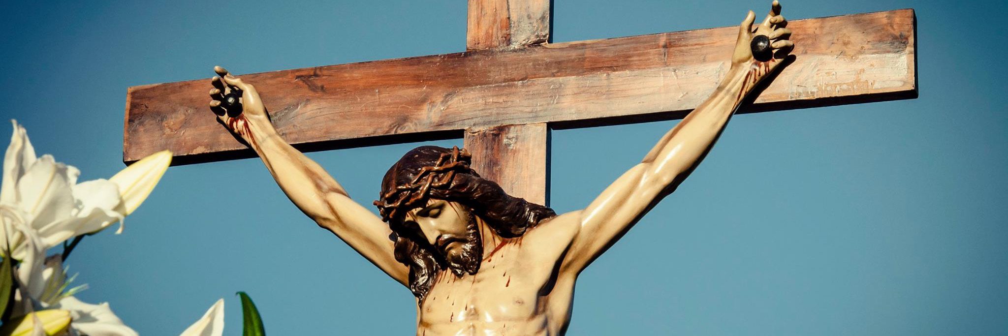 CfrdSilencio's profile banner image