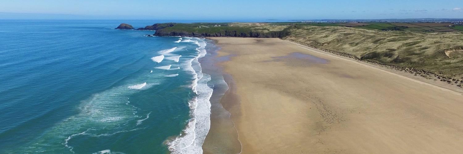 Mark Davidson banner