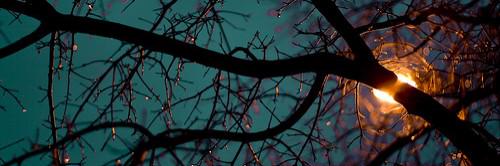 wien_permahi's profile banner image