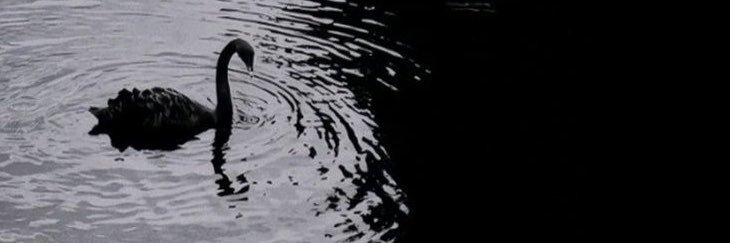 Nhhh_x's profile banner image