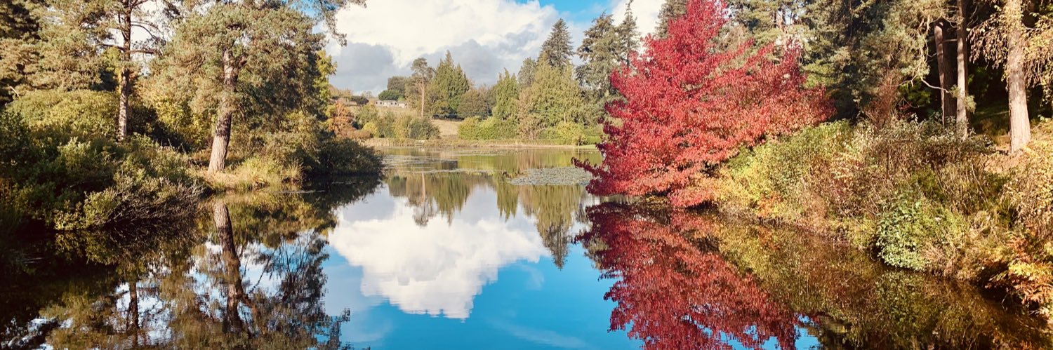 Λ𝚣𝚘𝚖 𝙼𝚘𝚛𝚝𝚞𝚣𝚊 💙 banner