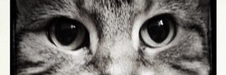 FraserLyndsey's profile banner image