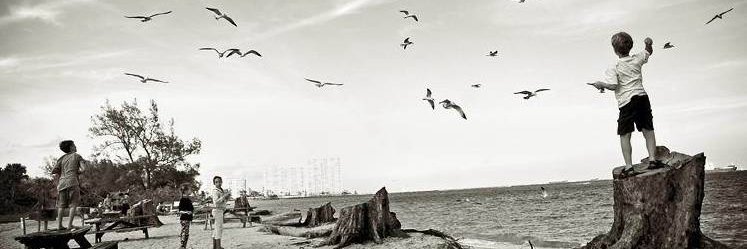 sebo6052's profile banner image