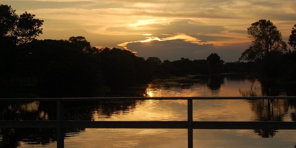 CAMPEÓN DEL MUNDO 🇻🇪⚾ banner