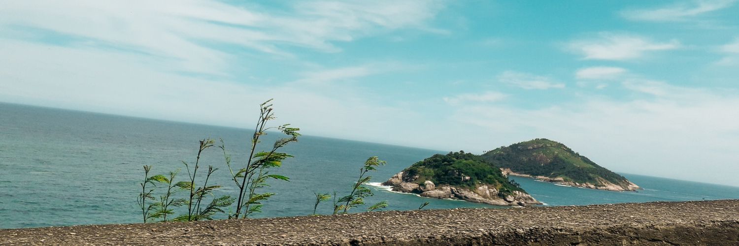 nessaborges5's profile banner image