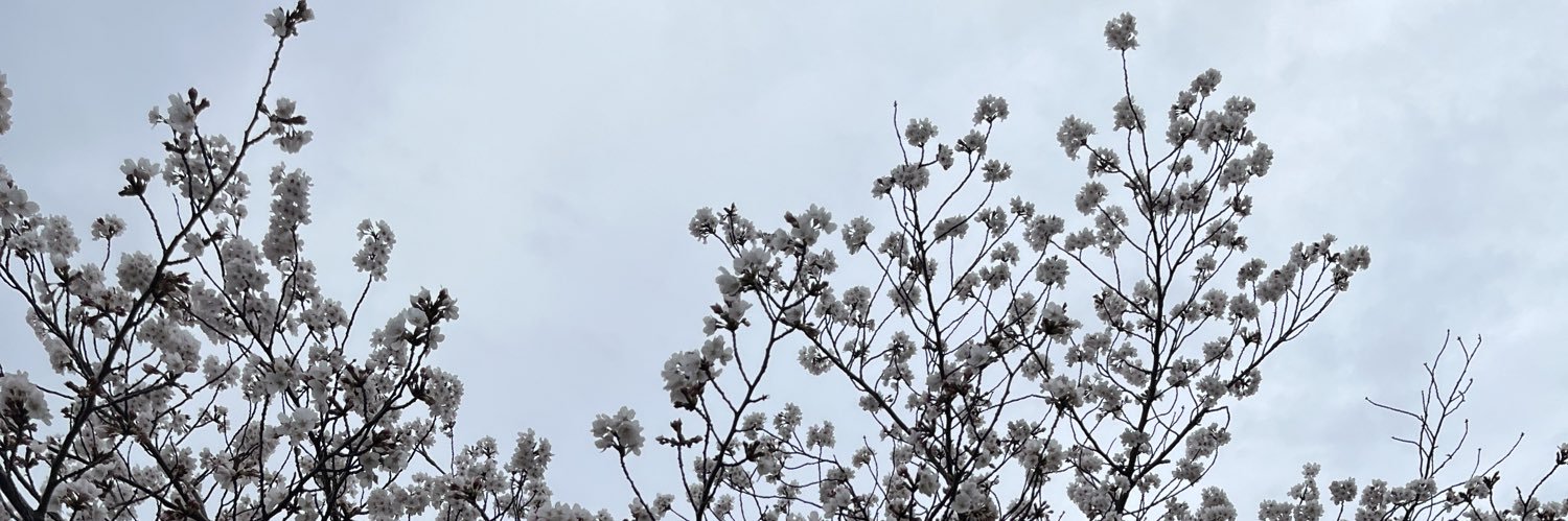 犬 banner