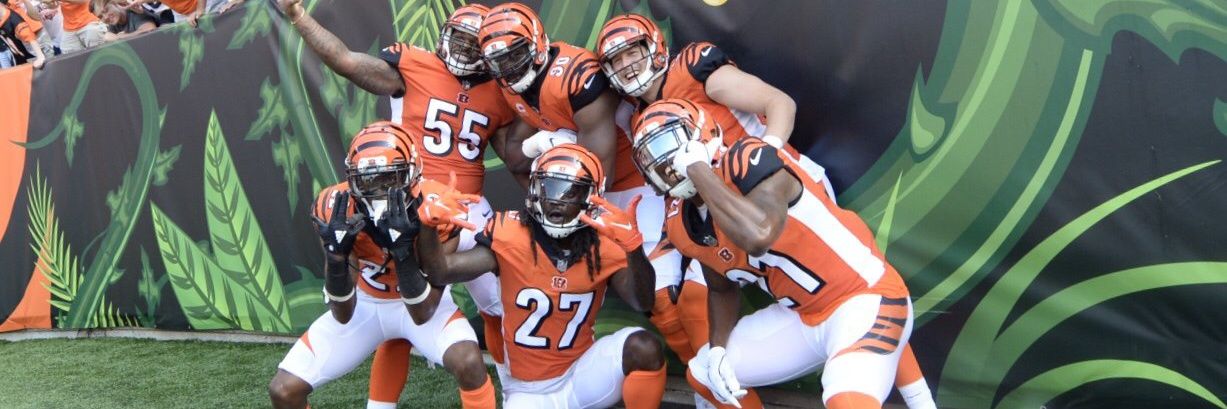 cameronlamb4's profile banner image