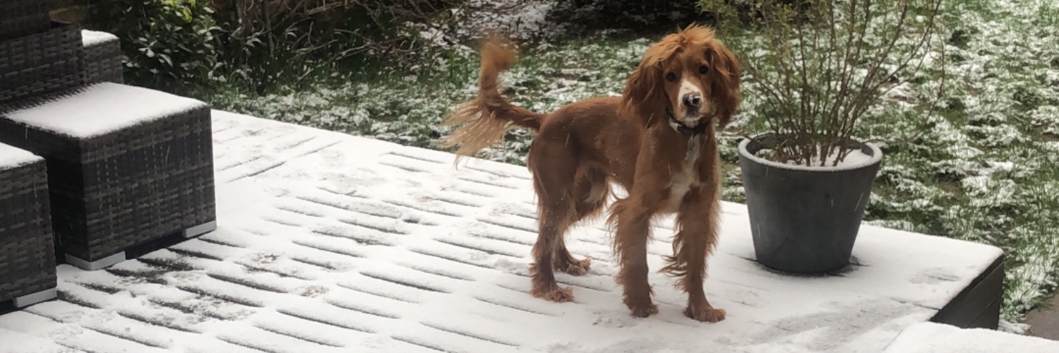 Emilie Chambeyron banner