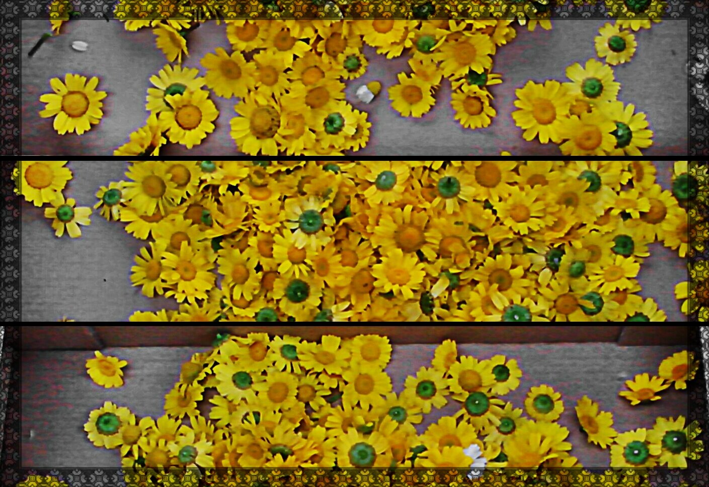 Botx0's profile banner image