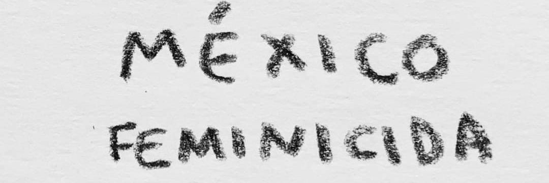carolinagcst's profile banner image
