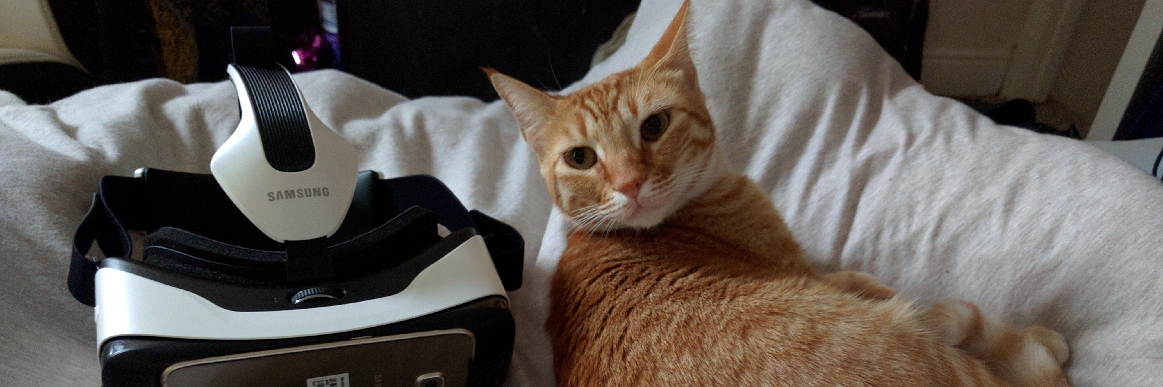 MoonCatGames's profile banner image