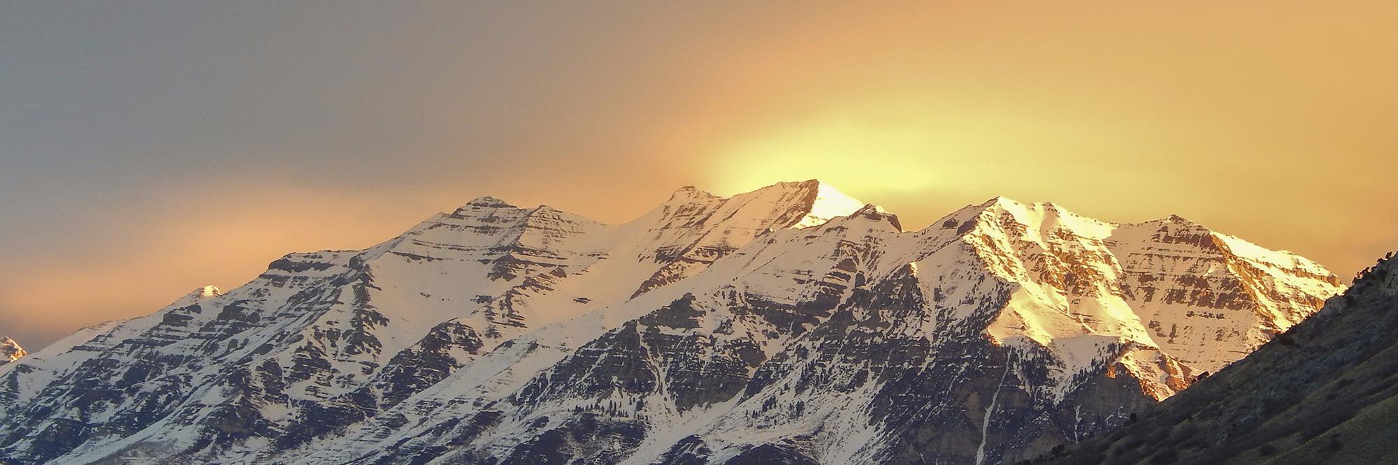 uvoasis's profile banner image