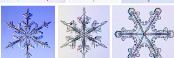 snowflake65's profile banner image