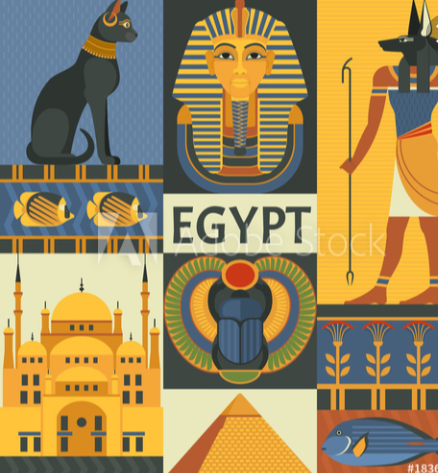 saalymohamed's profile banner image