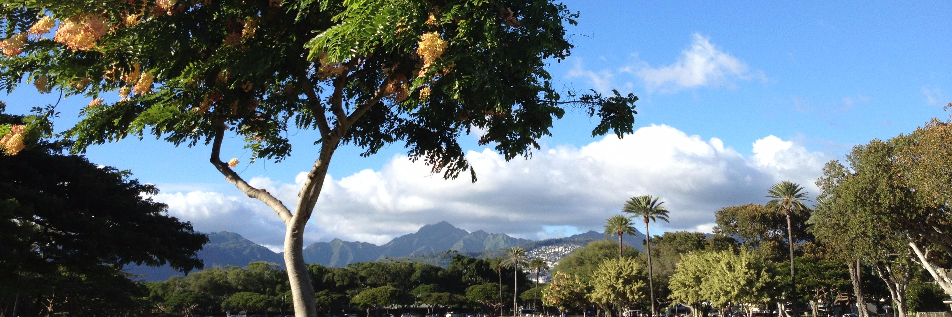 🌱Hawaii Life Journal banner