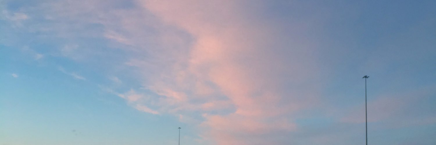 RachelGoetz1's profile banner image