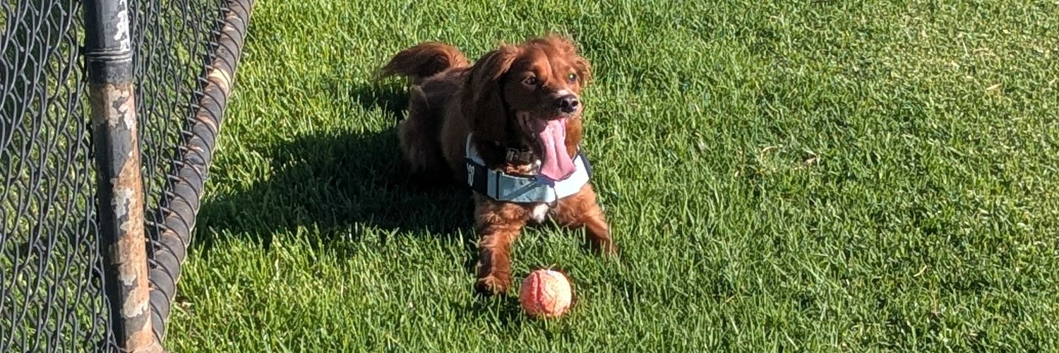 Fenners🍷🍺🎶🌞🥩🥙🍤 banner