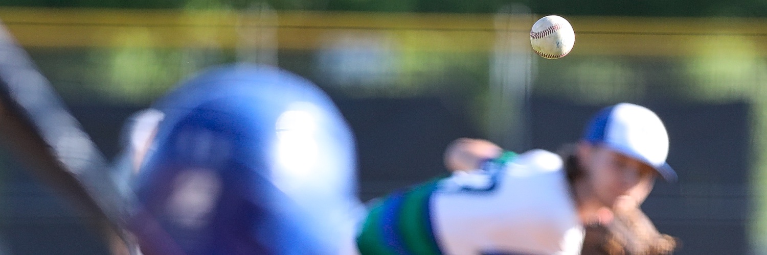 LesNicholsonPhotog banner