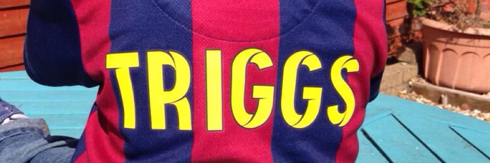 triggsy8's profile banner image