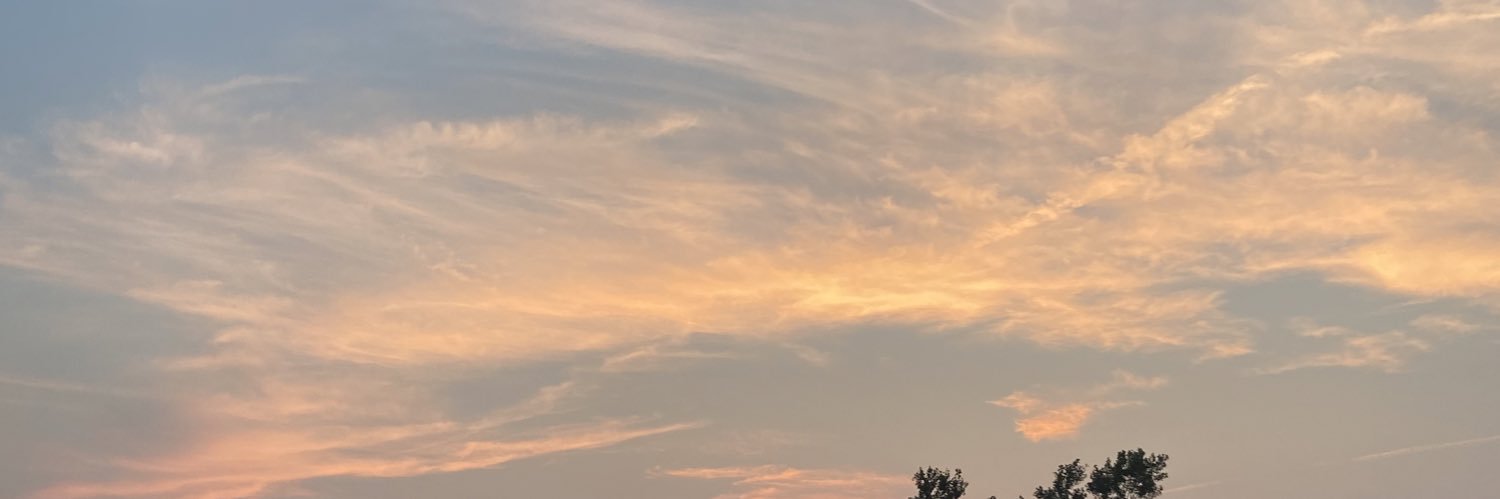 alyssaxpip's profile banner image