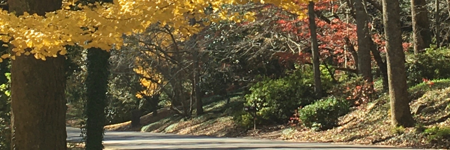 SLPHutson's profile banner image