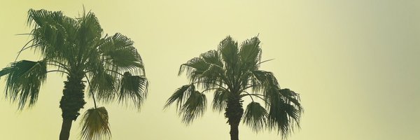 and_says_ Profile Banner