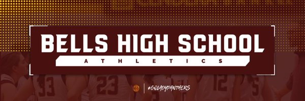 LdyPanthersAth Profile Banner