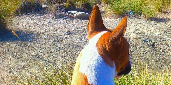 Rober86gomez's profile banner image