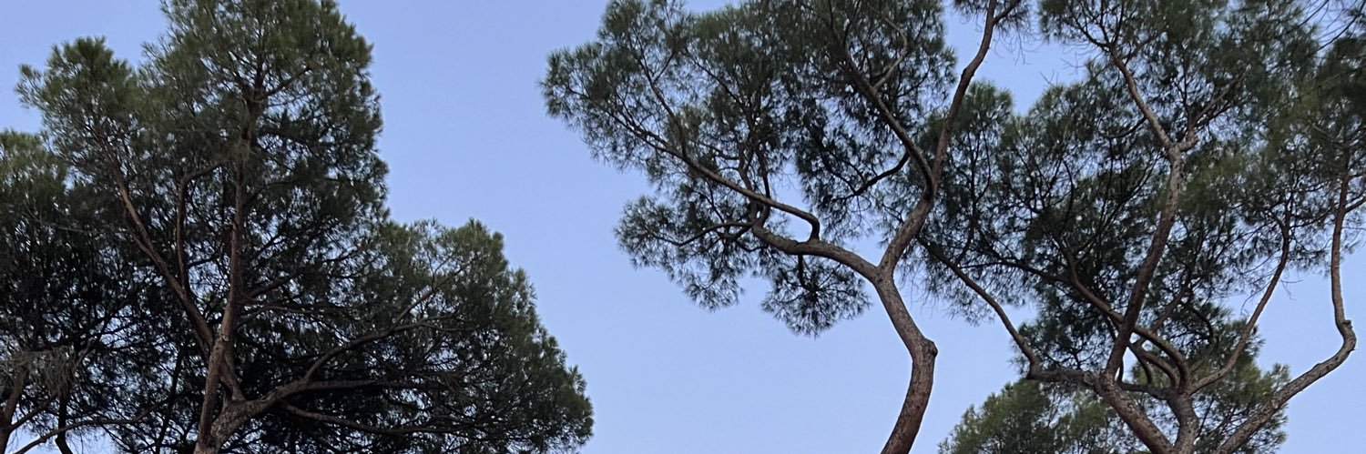 Margherita Stancati 🌸's banner