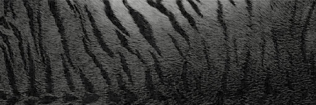 frstbaek's profile banner image