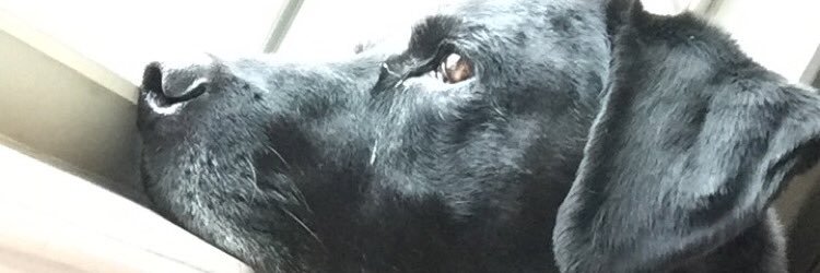 _faaang's profile banner image