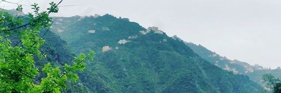 asaadalfaify's profile banner image