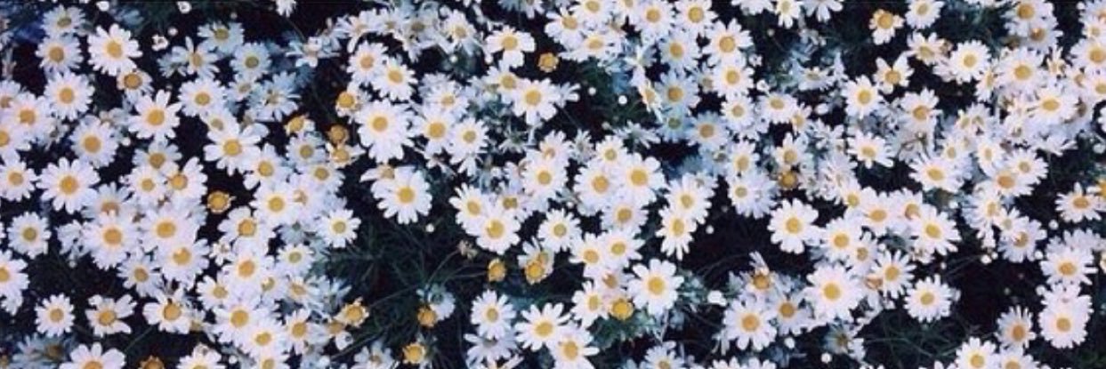 AprilTashir's profile banner image