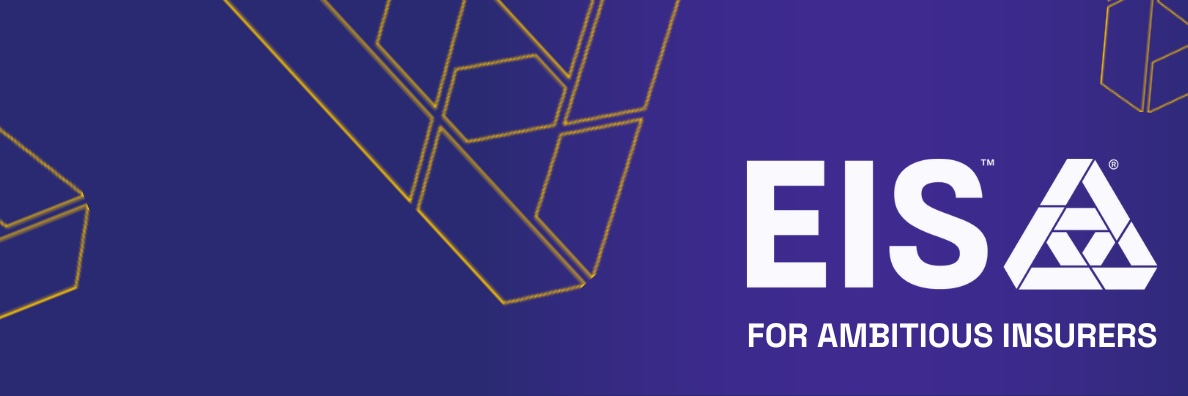 EISGroupLtd's profile banner image