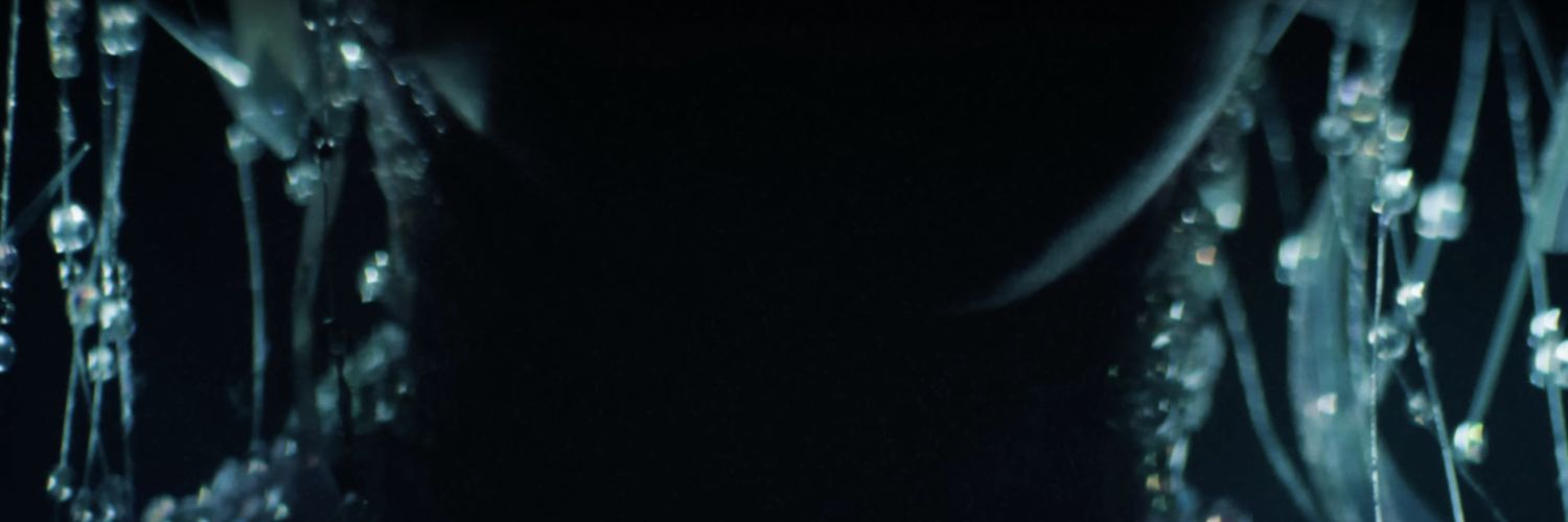 radioativeheart's profile banner image
