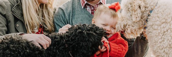 krscotty Profile Banner