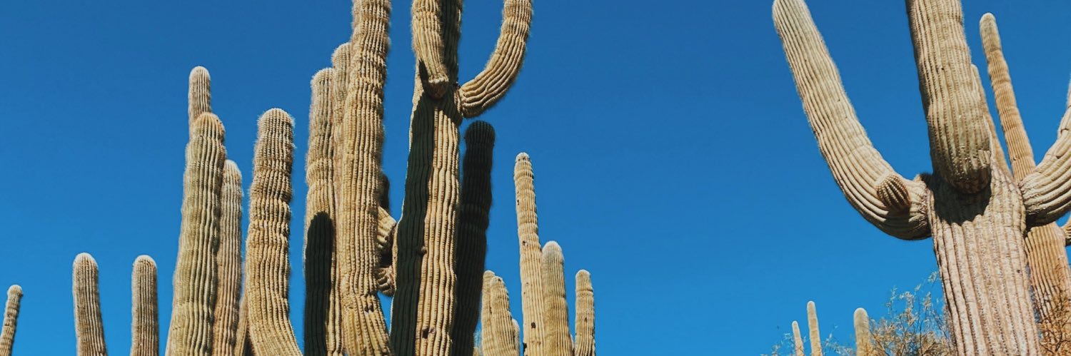 nataliefruend's profile banner image