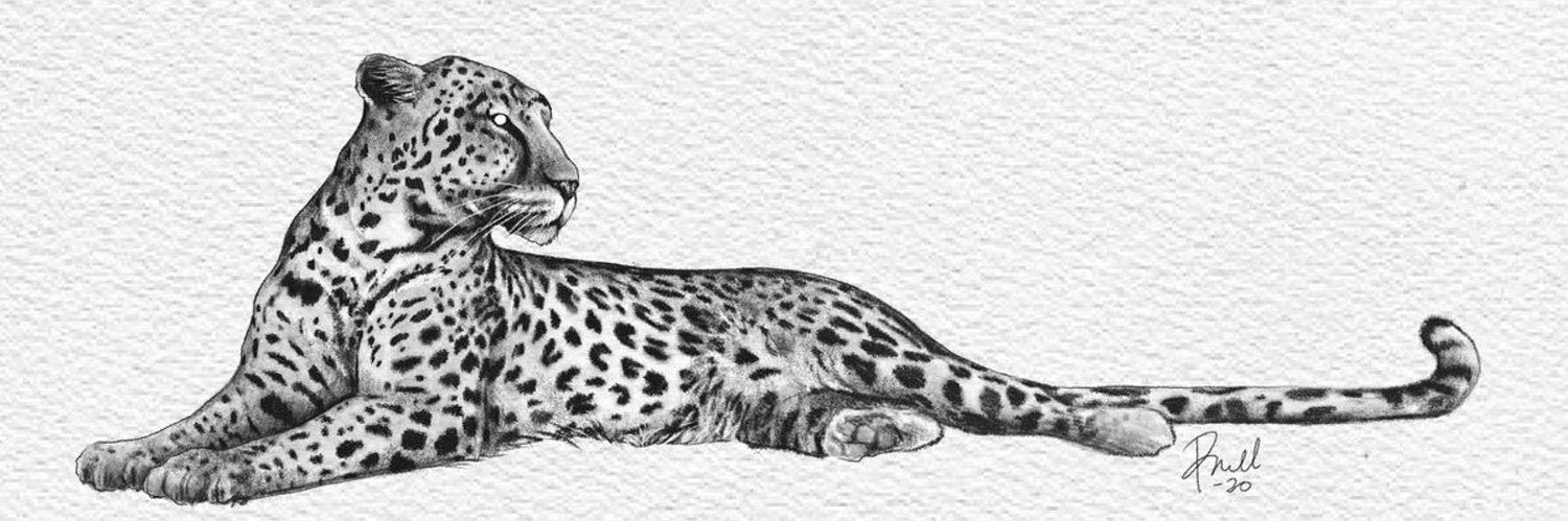 au99o's profile banner image