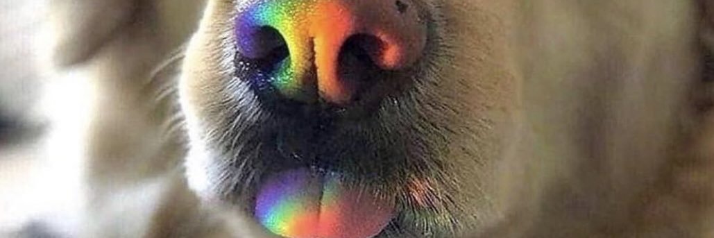 Mistboy223's profile banner image
