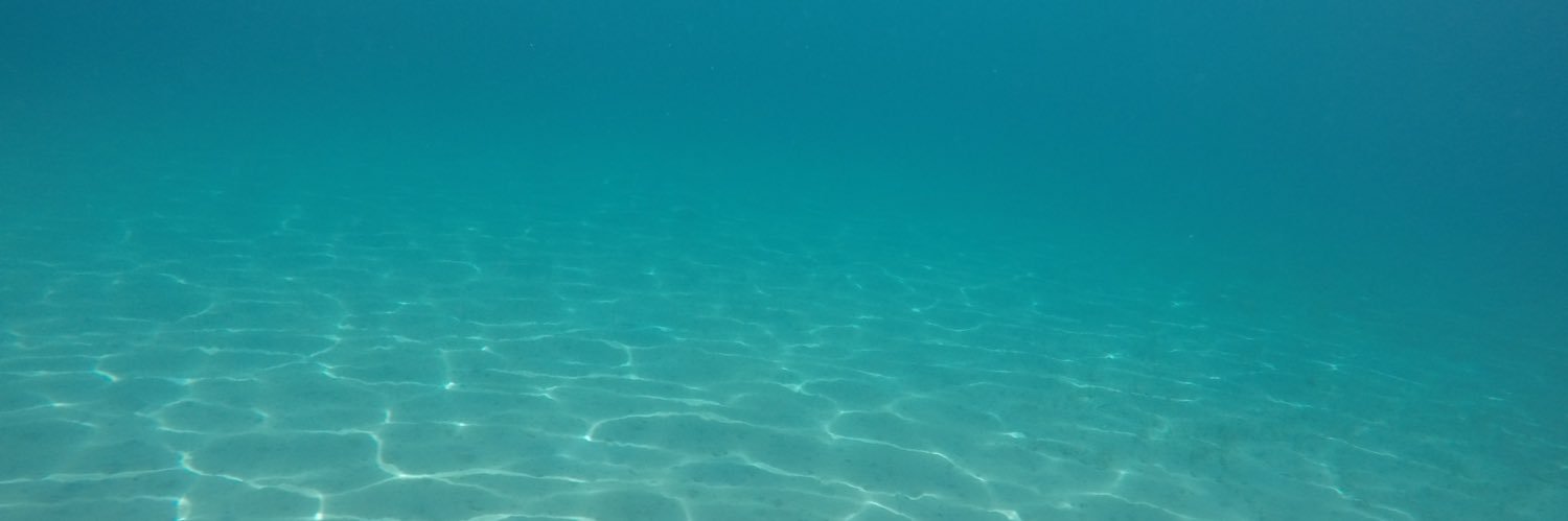 Gian Marco Visani banner