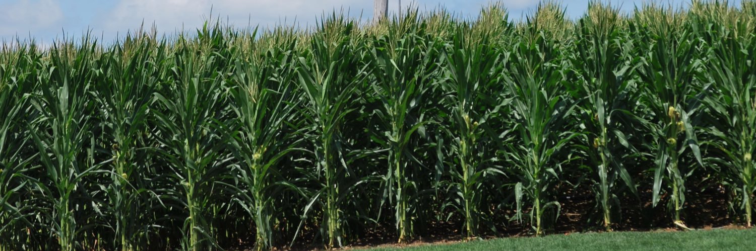 CodyGErickson's profile banner image