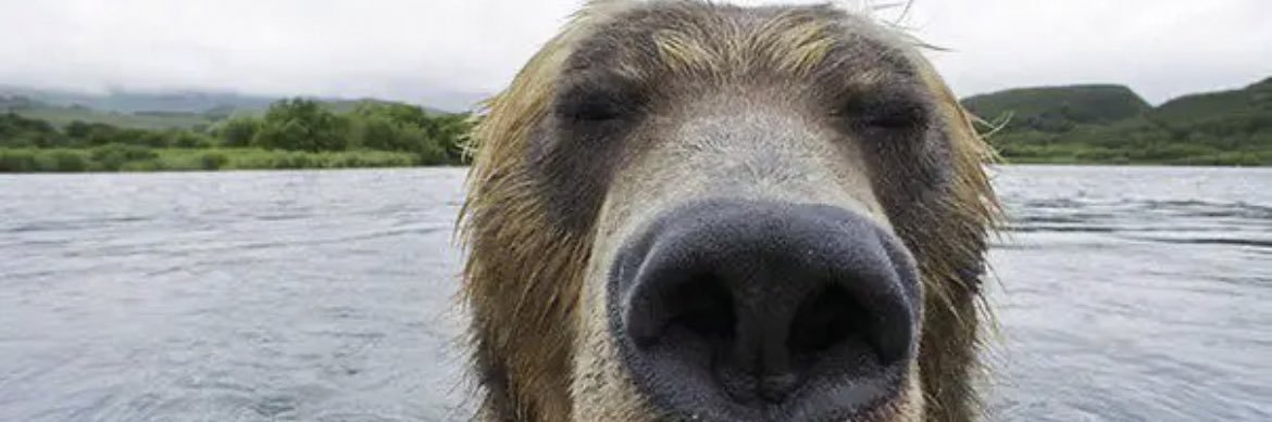 EGSS 🇩🇰 banner