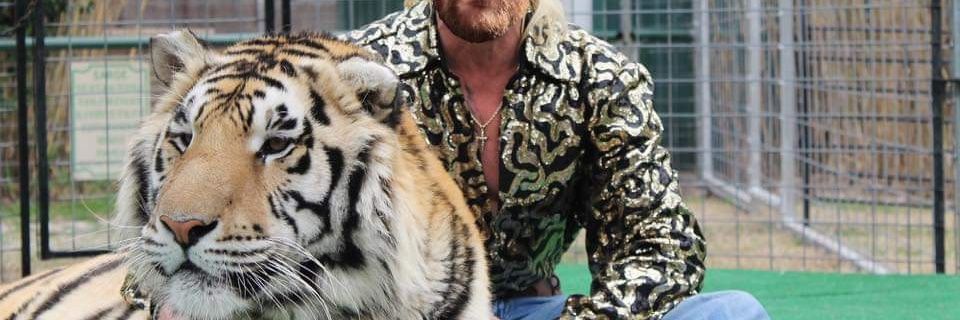 serialcomedy's profile banner image