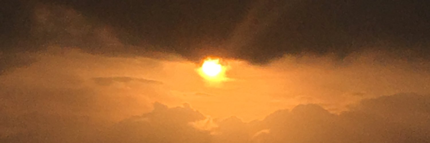 netnette_'s profile banner image