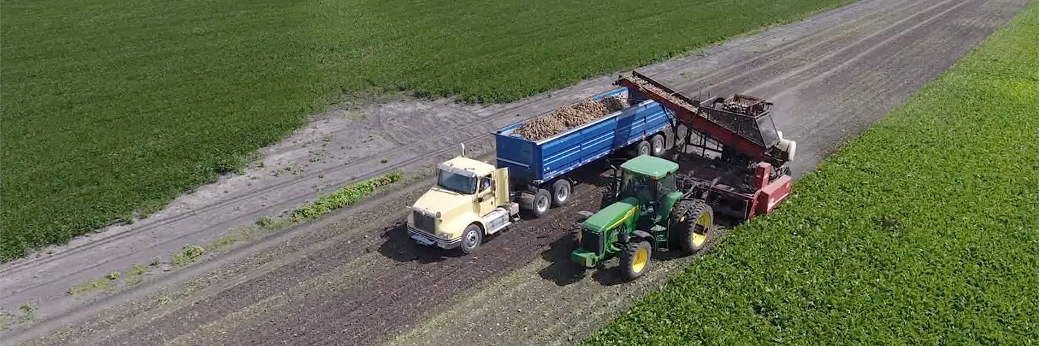 Crystal Sugar Co. banner