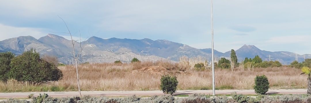 _amy_gordon_'s profile banner image