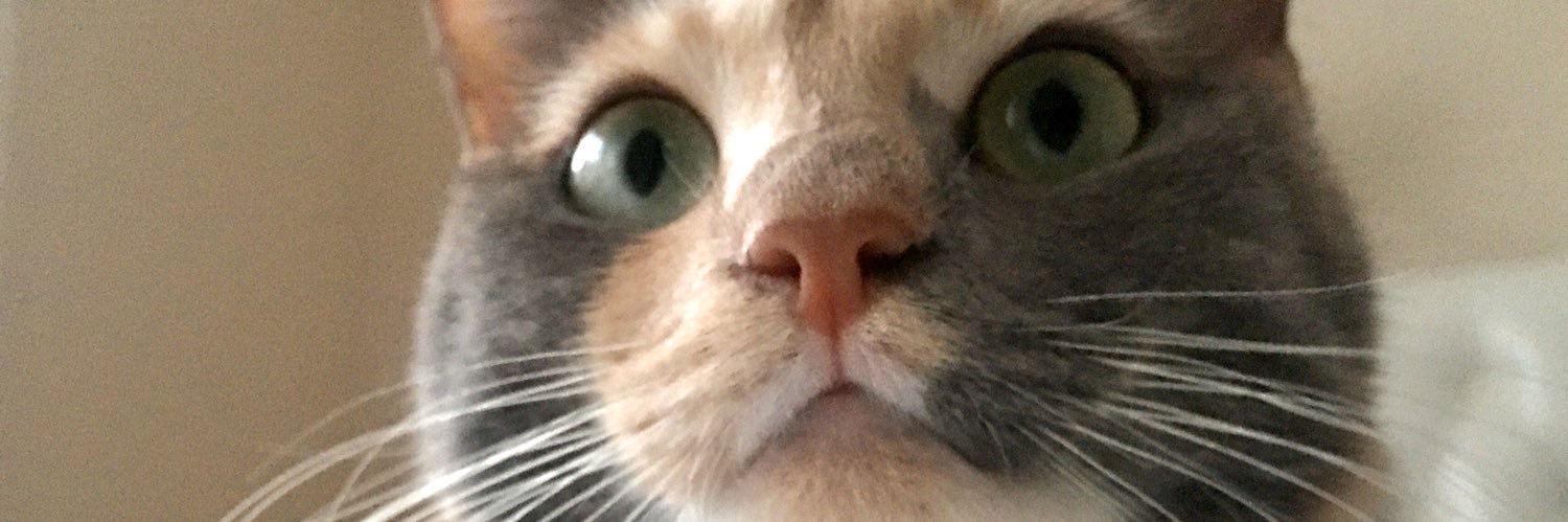 mutlaksifirr's profile banner image