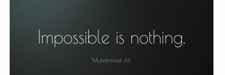 Javier Morales banner