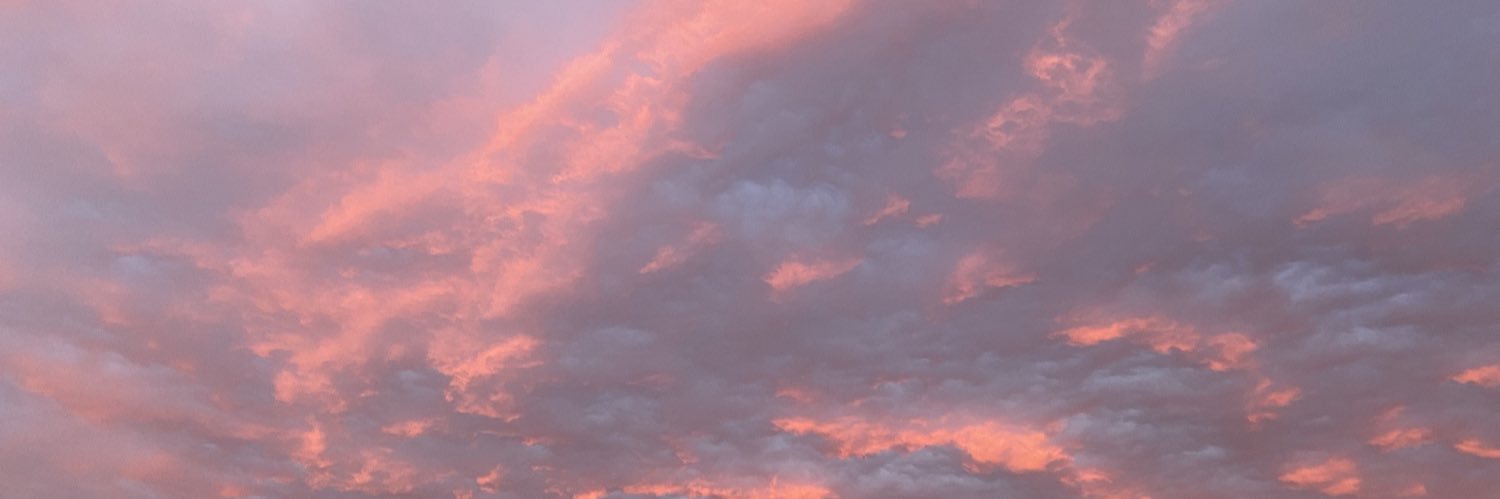 Satu Haataja ✈️ banner